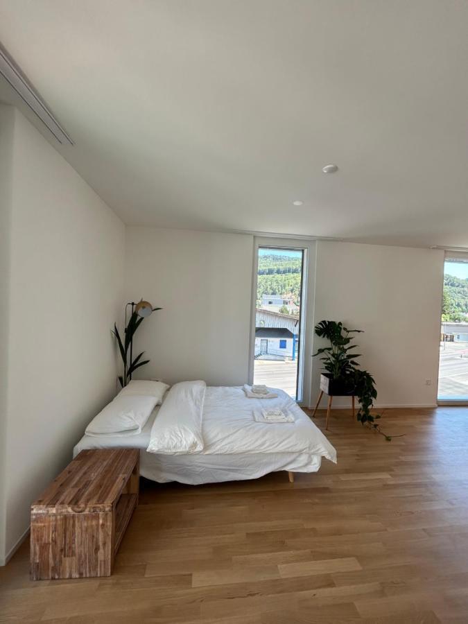 The R Apartment Passwang, Klima, Neu, Balkon, Parking Balsthal Eksteriør billede