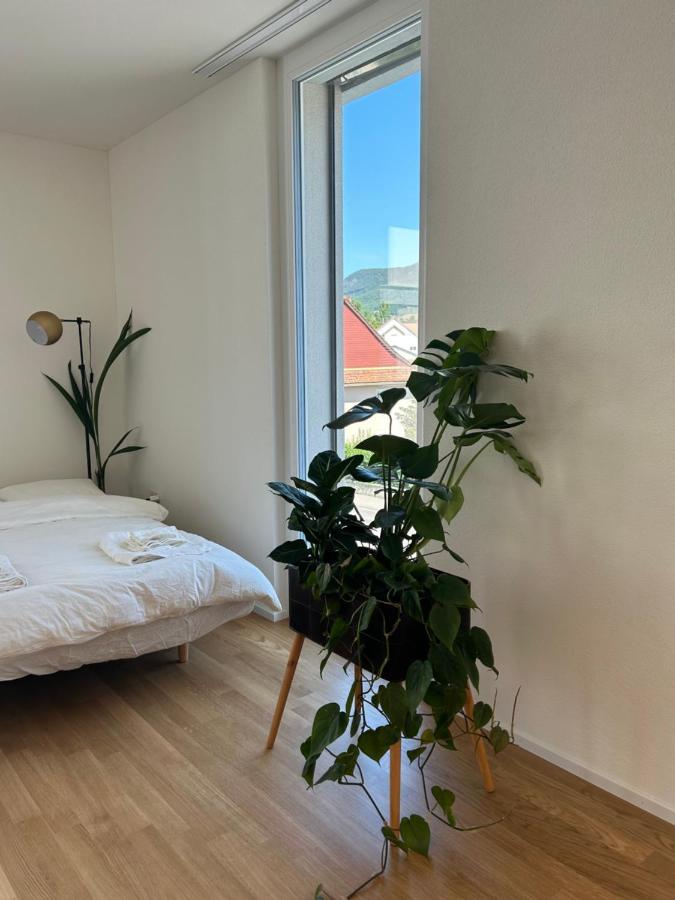 The R Apartment Passwang, Klima, Neu, Balkon, Parking Balsthal Eksteriør billede