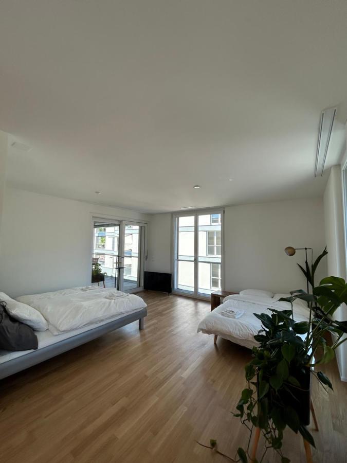 The R Apartment Passwang, Klima, Neu, Balkon, Parking Balsthal Eksteriør billede